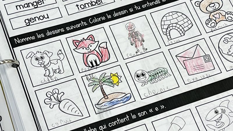 French Buzz | Ressources pédagogiques pour la classe de français